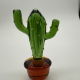Brown Cactus Coloured Glaze Decoration Brown Cactus Coloured Glaze Decoration