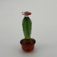 Brown Cactus Coloured Glaze Decoration Brown Cactus Coloured Glaze Decoration