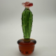 Brown Cactus Coloured Glaze Decoration Brown Cactus Coloured Glaze Decoration