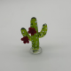 Big Red And Yellow Cactus