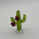 Big Red And Yellow Cactus