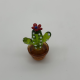 Cactus With Flowers