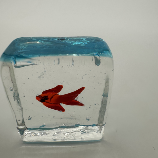 Ice Fish