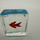 Ice Fish